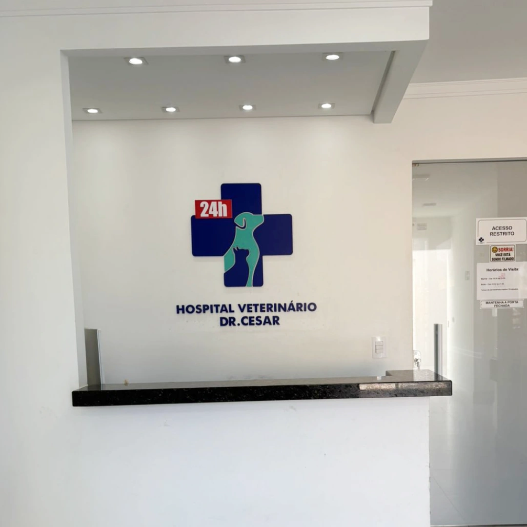 Recepção do hospital veterinário